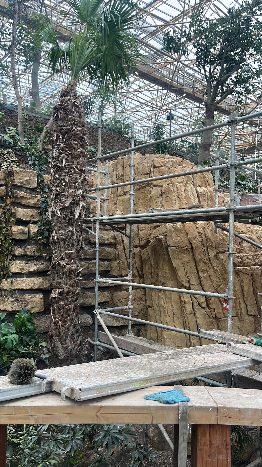 Butterfly House